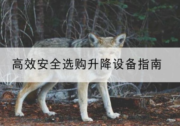 巨野升降货梯厂家推荐-*安全选购升降设备指南