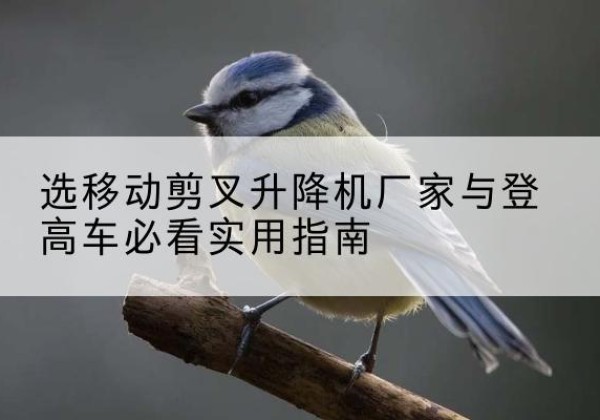 巨野电动升降机厂家-选移动剪叉升降机厂家与登高车必看实用指南