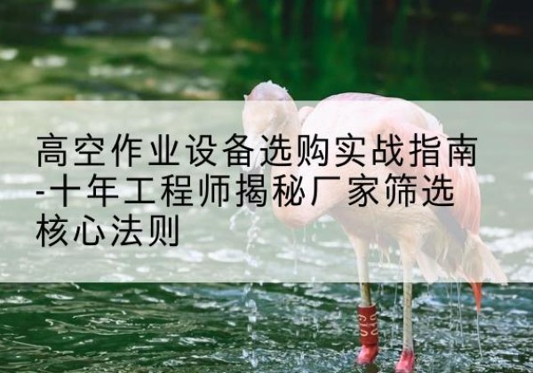 巨野剪叉式升降机厂家-高空作业设备选购实战指南-十年工程师揭秘厂家筛选核心法则
