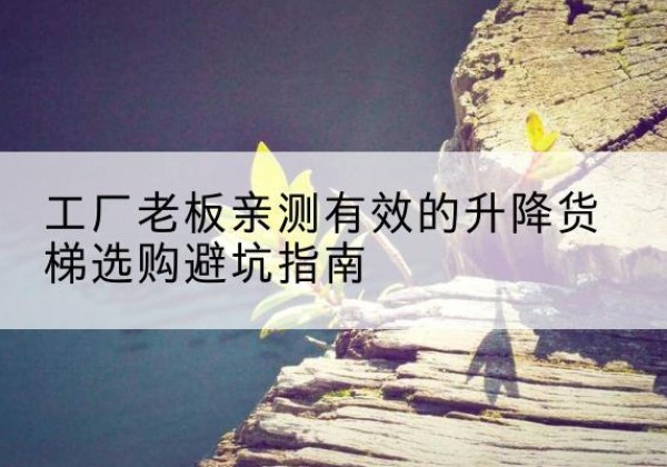 巨野升降货梯怎么选-工厂老板亲测有效的升降货梯选购避坑指南